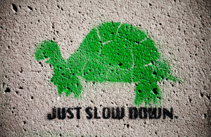 Turtle-Sign-Reading-Just-Slow-Down